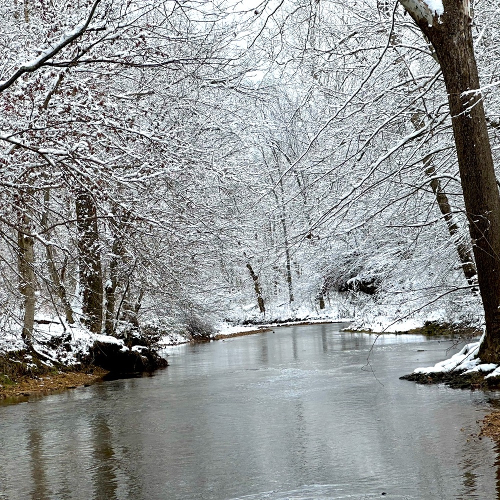 Meet your Posher, Silver